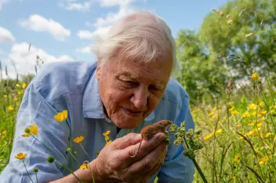 Star-Studded Live Event at Royal Albert Hall for David Attenborough's 100th