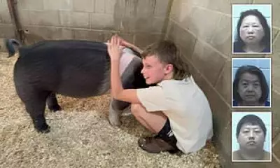 Therapy Pig Shot Dead by Neighbors in Georgia, Family Says