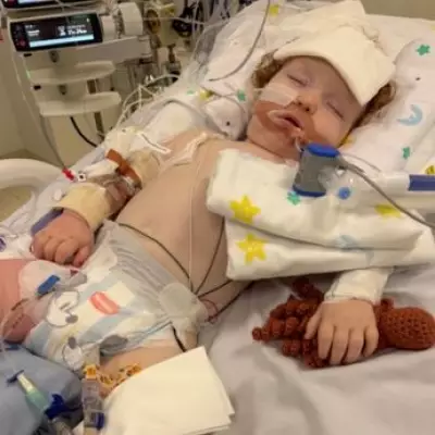 Toddler in Coma After Inhaling Gold Cake Dust: Parents Share Heartbreaking Update