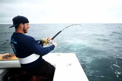 Trump Plan May Allow More Shark Fishing, Threatening Endangered Species
