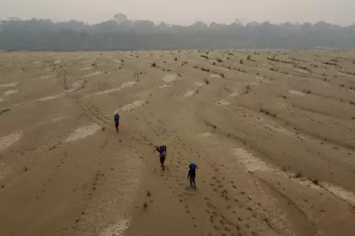 UN Warns Next Five Years Will Shatter Global Temperature Records