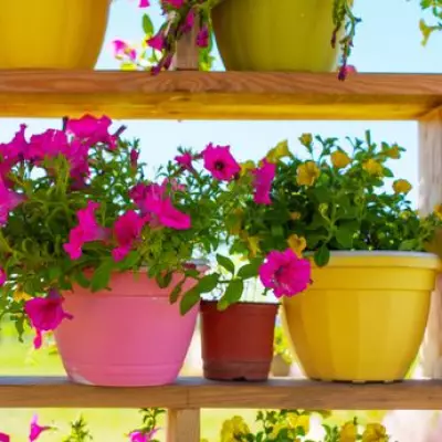 Under £20 Garden Hack to Attract Bees with Bright Colors