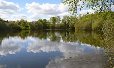 Urgent Search for Missing Teen at Lincoln Lake Continues