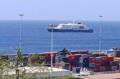 US Blogger Shares Emotional Update from Hantavirus-Stricken Cruise Ship