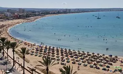 Van Driver Arrested for Abducting and Sexually Assaulting British Tourist in Mallorca