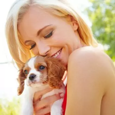 Vet Shares 3 Essential Tips Every Dog Owner Must Know