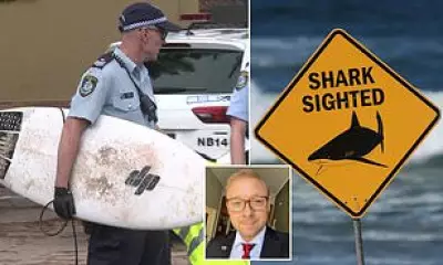 Warning Issued Over Aggressive Bull Sharks on Australia's East Coast After Attacks