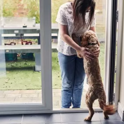 Woman's Bad Day Turns Around Thanks to Her Dog's Joyful Welcome
