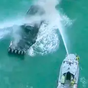 11 Hospitalised After Boat Explosion in Miami's Biscayne Bay