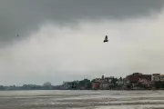 111 Dead as Freak Hailstorm and Rains Hit Northern India