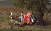 14-Year-Old Dies in Victoria Car Crash, Two Teens Critical