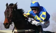 2013 Grand National Winner Auroras Encore Dies at Age 23