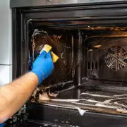 3-Ingredient Homemade Paste Removes Stubborn Oven Grease Effectively