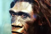 400,000-Year-Old Teeth Reveal Early Human Interbreeding with Homo Erectus