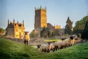 7 Best Cotswolds Walks and Where to Stay in 2026