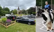 750-Year-Old Horse Fair Sparks Parking Fury in Hampshire Village