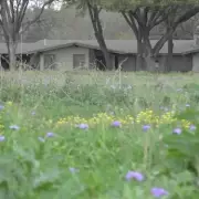 Abandoned PGA Championship Golf Course Now an Overgrown Jungle