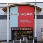 Add Year-Round Beauty to Gardens with £20 Home Bargains Trellis
