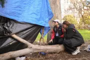 Adelaide Program Helps Rough Sleepers by Connecting Community and Outreach Workers