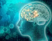 AI Consciousness Debate: Mistaking Simulation for Subjective Experience