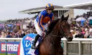 Aidan O'Brien Hails 'Monster' True Love After 1,000 Guineas Win at Newmarket