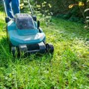 Alan Titchmarsh Reveals Ideal Lawn Mowing Frequency for Greener Grass