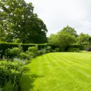 Alan Titchmarsh's Simple Method to Remove Moss and Dead Grass from Lawns