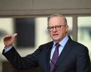 Albanese Urged to Adopt UK MP's Tax Reform Clarity Amid Budget Struggles