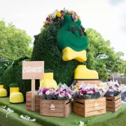 Aldi Unveils Giant Cuthbert Caterpillar Topiary at Chelsea Flower Show