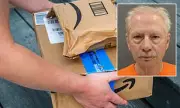 Amazon Driver Saves Woman from Hammer Attack in Minnesota