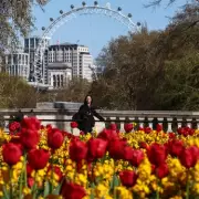 American in London Notices How Bank Holidays Change Brits