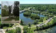 Ann Arbor Residents Furious Over DTE's 'Massacre' of Beloved Trees