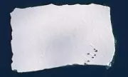 Antarctic Storm Causes Supply Loss as Ice Sheet Drifts Away