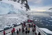 Antarctica Tourism Boom Sparks Fears of Contamination and Disease