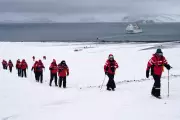Antarctica Tourism Surge Raises Contamination and Illness Risks