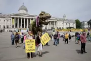 Anti-Monarchy Protesters March in London Demanding Abolition