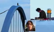 Anti-Trump Protester Climbs DC Bridge Second Time in Four Years