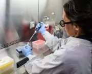 Argentina Investigates Hantavirus Outbreak Linked to Antarctic Cruise Ship