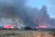 Arizona Wildfire Scorches Nearly 1,000 Acres, Described as 'War Zone'
