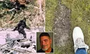 Army Veteran's 25-Second Bigfoot Encounter Changed His Life Forever