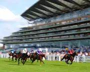 Ascot Chairman Resigns Over Racecourse Association Dispute