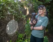 Ashburton's Folklore Festival Draws New Believers to Devon Town