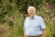 Attenborough's 100th Birthday Marked at Chelsea Flower Show with Plants for Every Decade