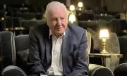 Attenborough's Gorilla Encounter: A Defining Moment in a Legendary Career