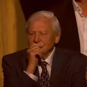 BBC David Attenborough 100th Birthday Special Moves Viewers to Tears
