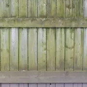 Best Fence Cleaner to Remove Green Algae Stains, Gardeners Say
