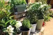 Best garden watering gadgets to save plants during UK heatwave