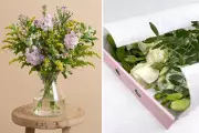 Best Letterbox Flowers: Top Services for Thoughtful Gifting in 2026