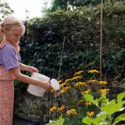 Best Time to Water Plants: Morning, Not Evening, Says Expert