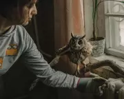 Blinded Owl Sunny Becomes Symbol of War's Toll on Ukraine's Birds